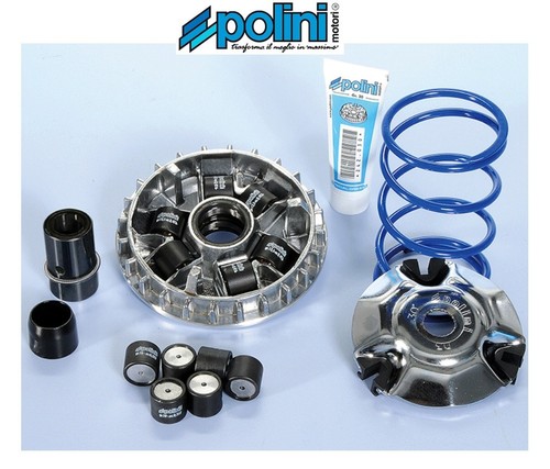 Polini 241 713 - 241.713, variatore