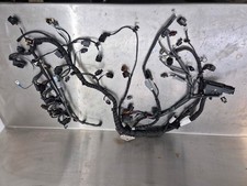 Cablaggio motore Audi RS3 TTRS