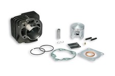 MALOSSI 316170 GRUPPO TERMICO D.47 GHISA HONDA LEAD SH PEUGEOT METROPOLIS 50 2T