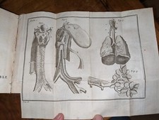 Libro antico anatomia di - -, l'anatomia