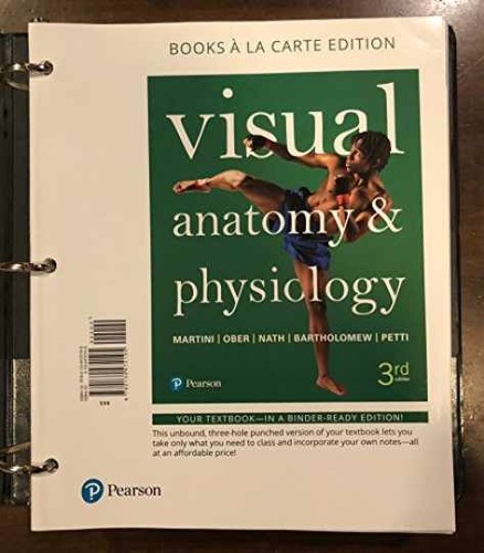 Visual anatomy physiology - visual,