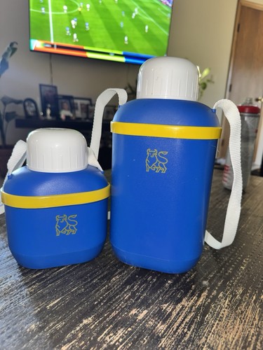 Set bottiglia thermos - , e