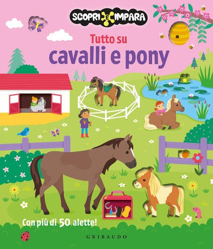 Tutto cavalli pony - cavalli, e
