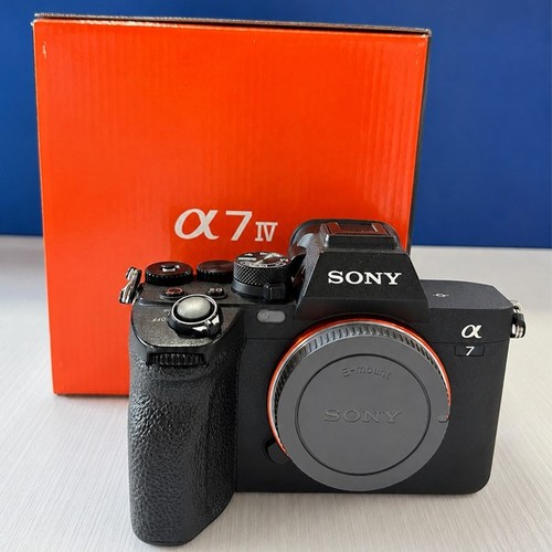 Sony alpha 33mpx - 7, iv