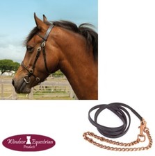 Windsor Briglia e Piombo da