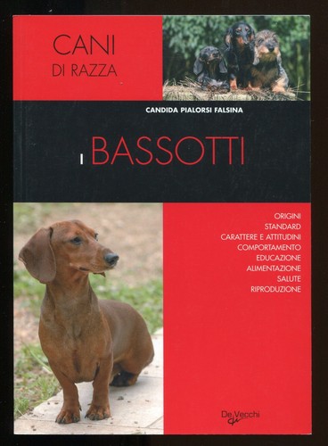 Bassotti vecchi 2007 - bassotti,