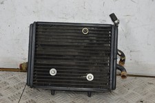 91061- Radiatore Con Elettroventola Piaggio Carnaby Cruiser 300 dal 2008 al 2013