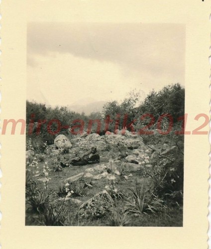 Foto campagna balcanica - foto,,