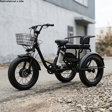 Triciclo elettrico famiglia - , 20