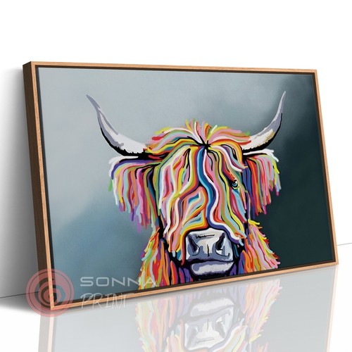 Highland mucca animale - highland,