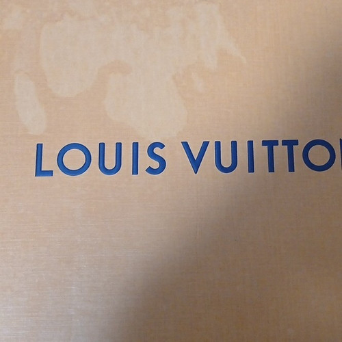 Louis vuitton trainer - louis,