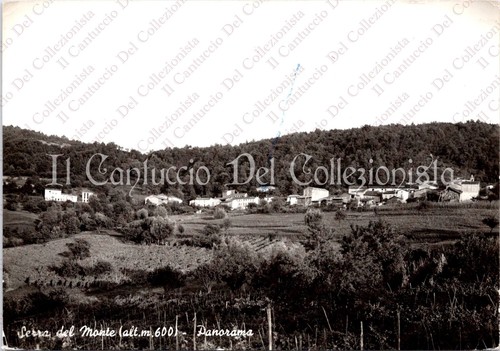 1964 serra del monte - 1964,