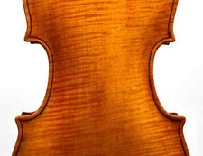 Violino italiano Napoli 1900