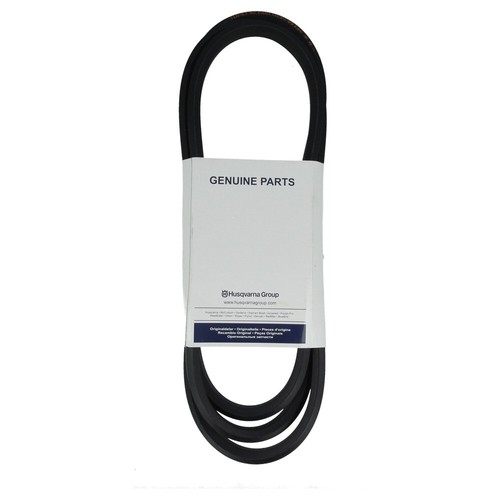 Cinghia ponte taglierina