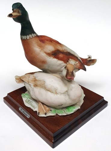 Giuseppe armani anatra bastone - anatra,