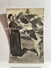 CANE SAN BERNARDO CON VESCOVO CARTOLINA non viaggiata 