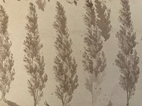 Molto bello disegno - disegno, xix