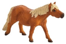 Mojo 387231 Shetland Pony 11