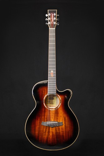 Tanglewood twx4cek winterleaf - tanglewood,