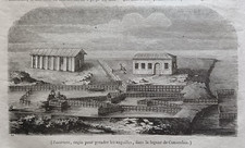 Stampa antica 1844 Anguille