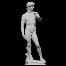 Statua Scultura David di