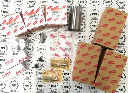 3tnv70 kit revisione motore - 3tnv70,