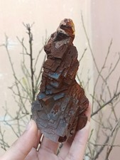 324 g incredibile esemplare