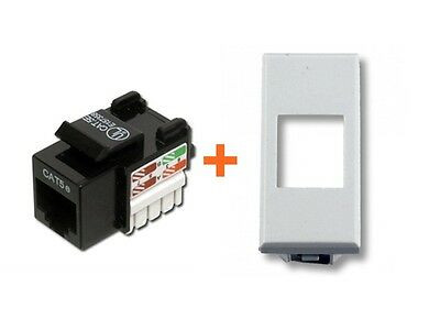 Link presa rete cat - presa,