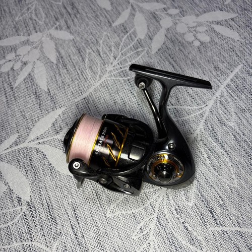 Mulinello spinning daiwa - spinning,
