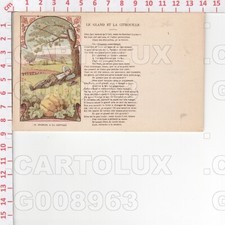 G8963 ILLUSTRATORE FAVOLA DE LA FONTAINE LE GLAND ET LA CITROUILLE 1910 STORCK