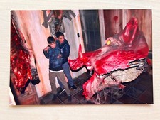 Sala dell'orrore dinosauri