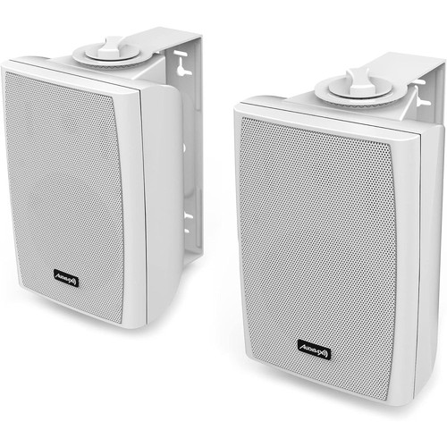 Cassa acustica speaker con - acustica,