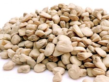 10 SEMI DI CICERCHIA - LATHYRUS SATIVUS - SPED-GRATIS