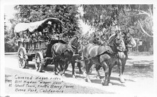 Bill Higdon Covered Wagon Boss