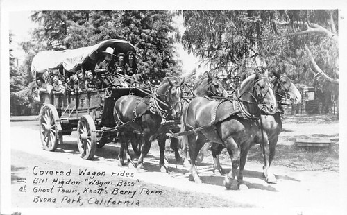 Bill higdon carro coperto boss - coperto,