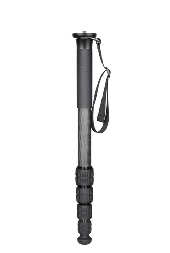Monopiede leofoto 285c - monopiede,