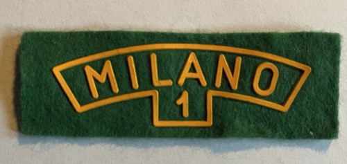 Agesci scout omerale - omerale, gruppo