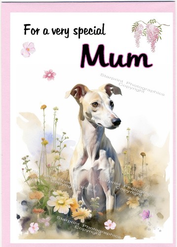 Biglietto bianco whippet dog - whippet,