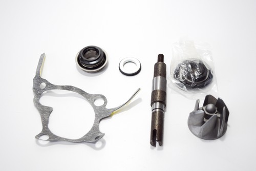 Aa00814 kit revisione pompa - kit,
