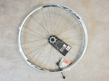 ruota bici mtb anteriore