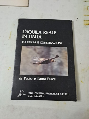 Aquila reale italia - l'aquila,
