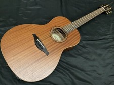 Chitarra Elettrica Acustica