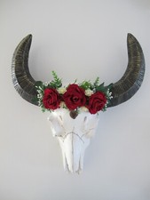 Teschio animale bufalo toro