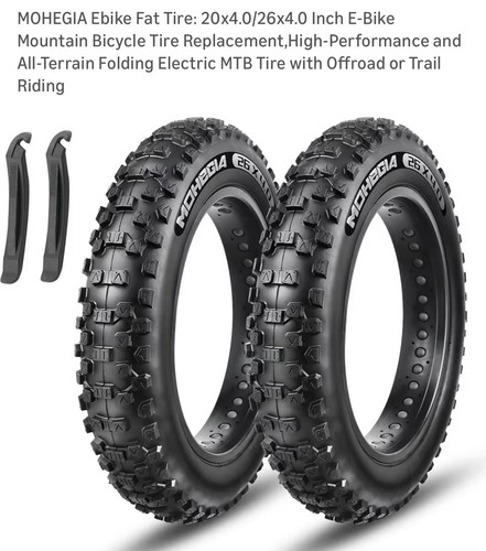 Due pneumatici ebike fat - due,
