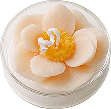 Candela Profumata a Forma Di