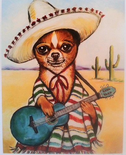Chihuahua cane che - , suona