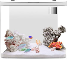 Acquario Da Tavolo per Piccoli