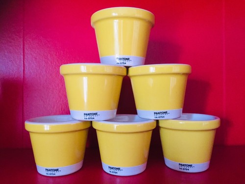 Pantone 0754 set 6 - 🔴, 14-0754
