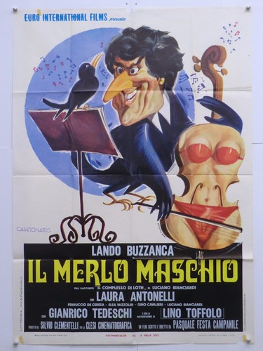 Merlo maschio erotico - maschio,