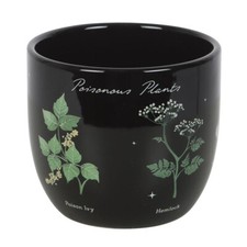 Vaso per piante velenose